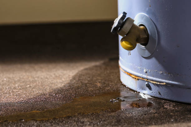 Carpet water damage restoration in Rose Lodge, OR