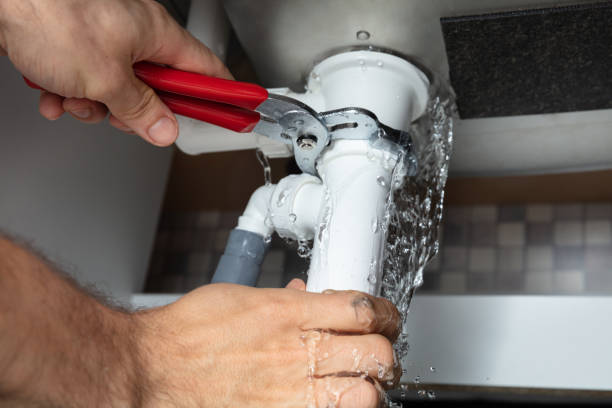 Best Mold removal after water damage  in Rose Lodge, OR