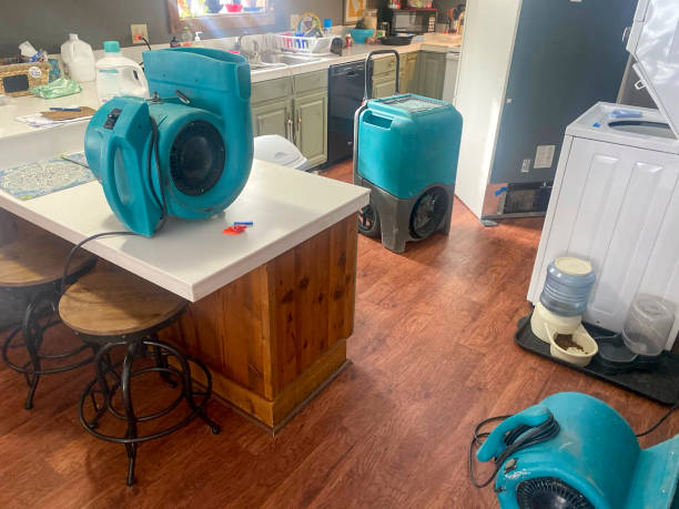 Best Basement water damage restoration  in Rose Lodge, OR