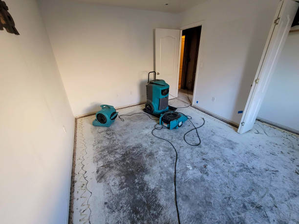 Water damage restoration experts in Rose Lodge, OR