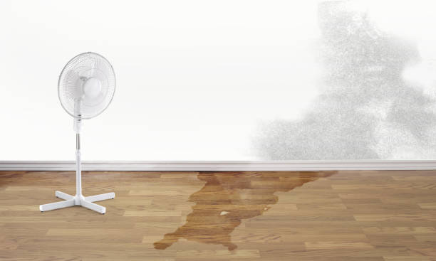 Best Water damage contractors near me  in Rose Lodge, OR
