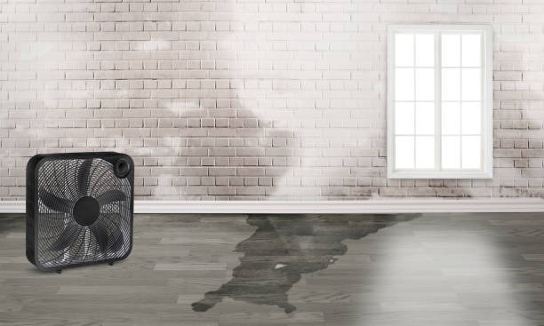 Best 24-hour water damage restoration  in Rose Lodge, OR