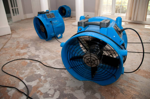Best Professional water damage repair  in Rose Lodge, OR