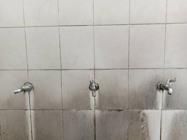 Best Water damage cleanup near me  in Rose Lodge, OR