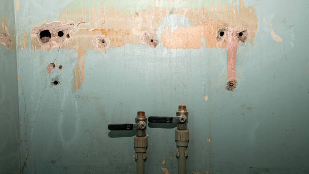 Best Flood restoration services  in Rose Lodge, OR
